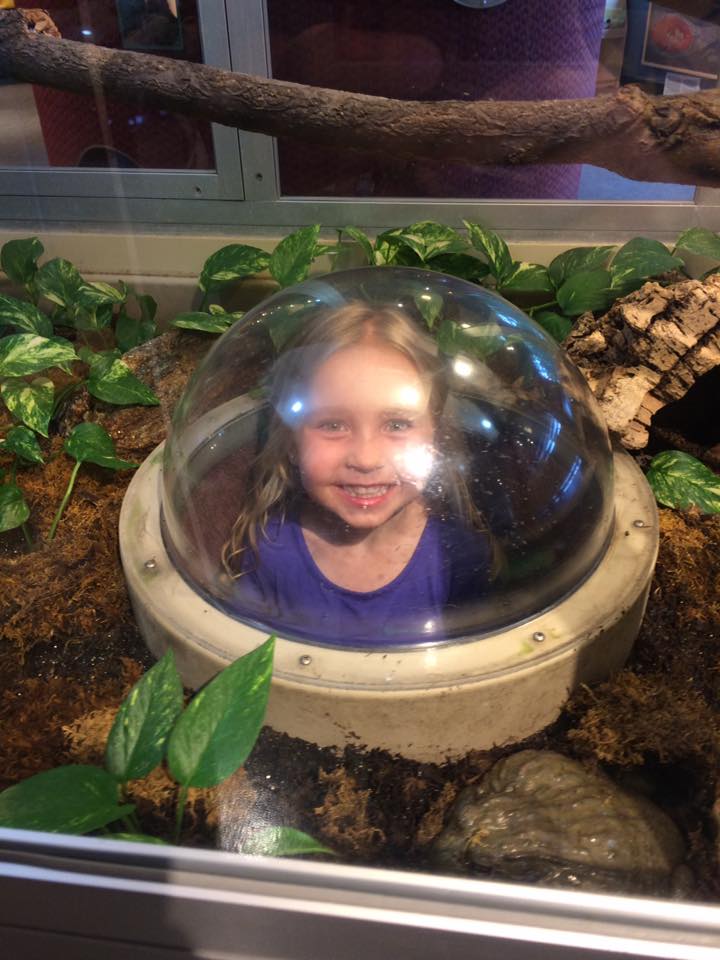 19225445_10155818975082662_8179455461144769186_n